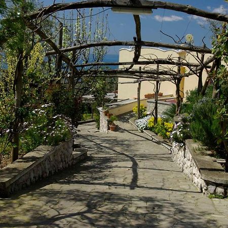 Villa Romantica Massa Lubrense Eksteriør bilde